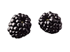 fruit 02 1