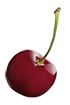 fruit 03 2